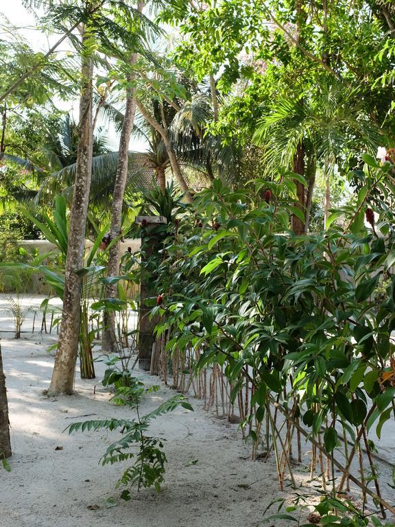 Rumah Jah Langkawi Pantai Cenang  Extérieur photo